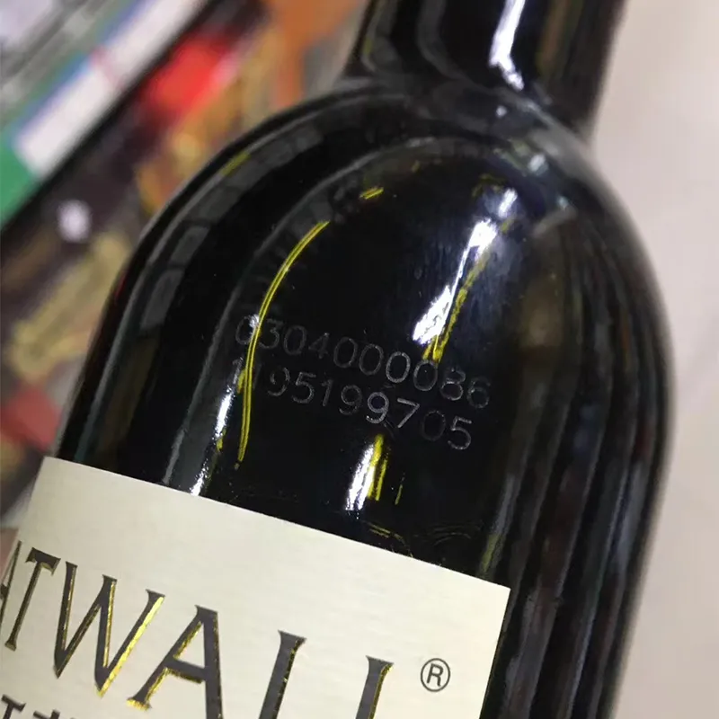 Лазерный маркер для маркировки пищевой упаковки111 (3)